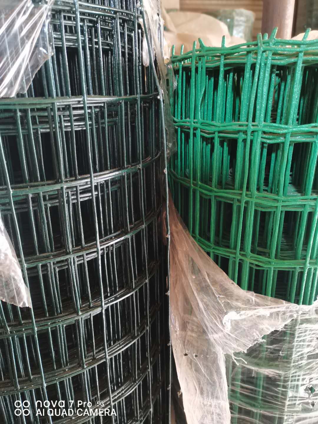 荷兰网片